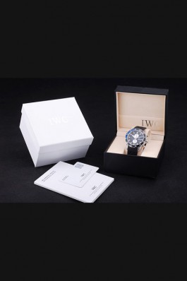IWC Top Replica 8266 Strap Watch Case