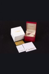 Cartier Top Replica 8066 Strap Watch Case