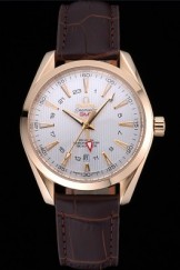 Omega Seamaster Planet Ocean GMT White Dial Gold Case Brown Leather Band 622399
