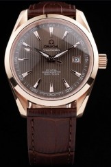 Omega Top Replica 8524 Brown Leather Strap Seamaster Railmaster Brown Luxury Watch